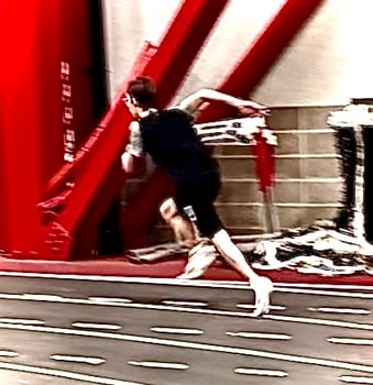 matthew licari
